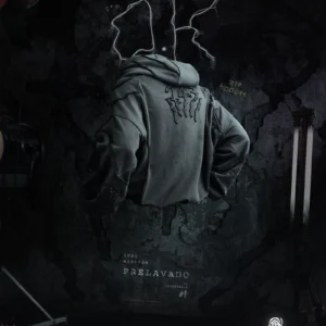 Hoodie OK (Muestra): imagen 9