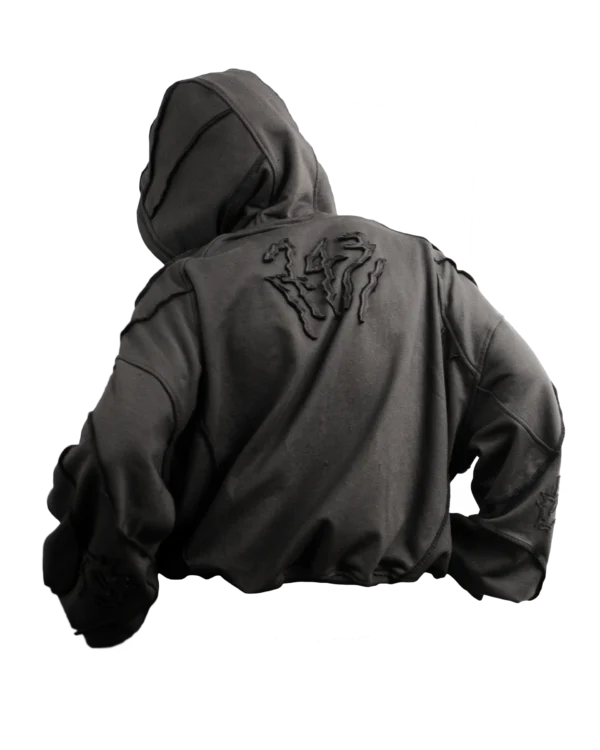 hoodie rara costuras exteriores polera zicks