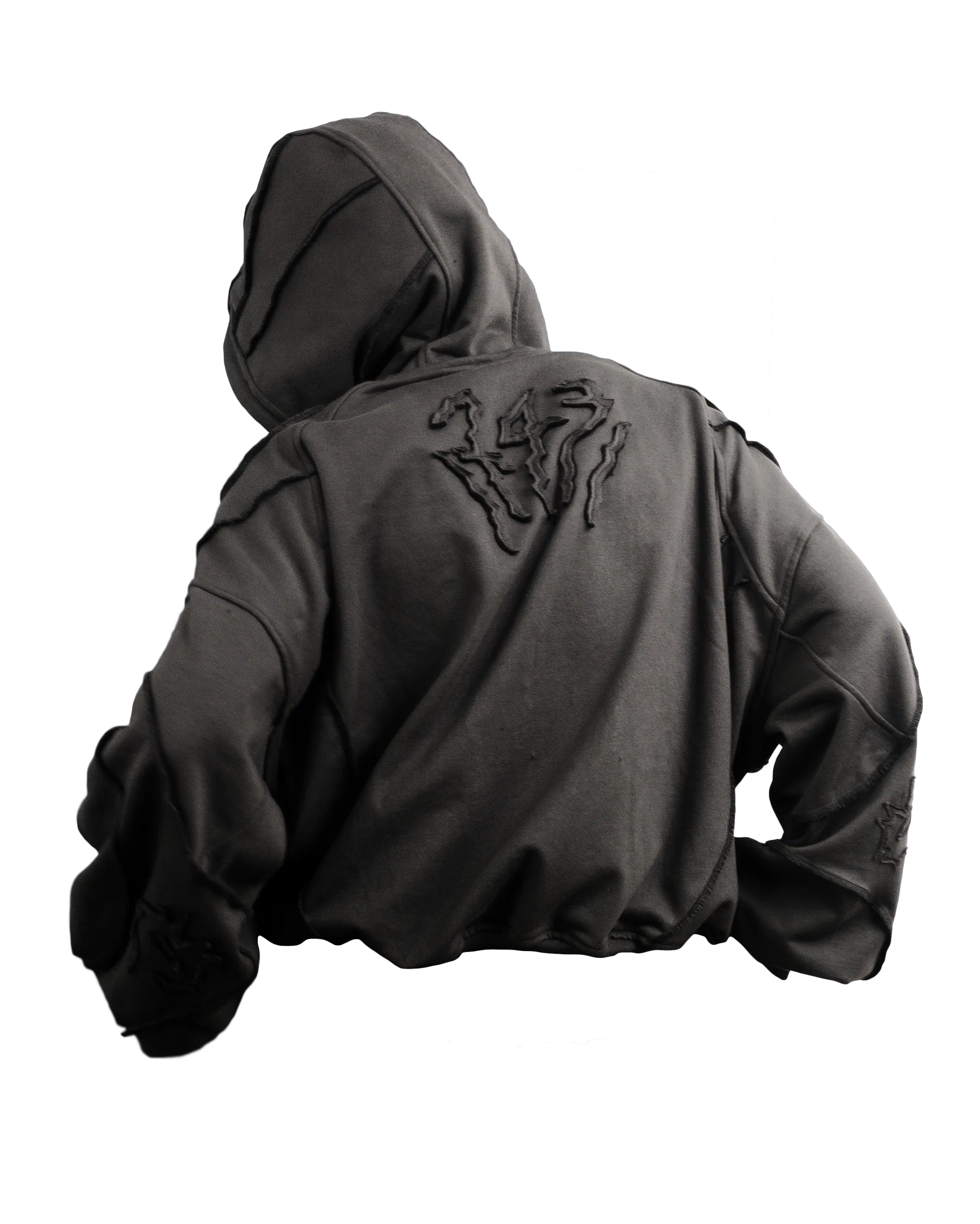 hoodie rara costuras exteriores polera zicks