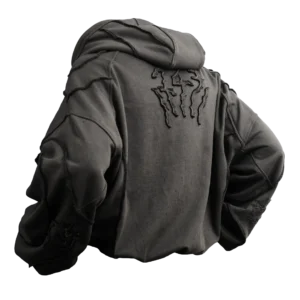 hoodie rara costuras exteriores polera zicks